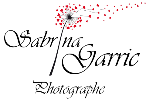 Photographe Carcassonne